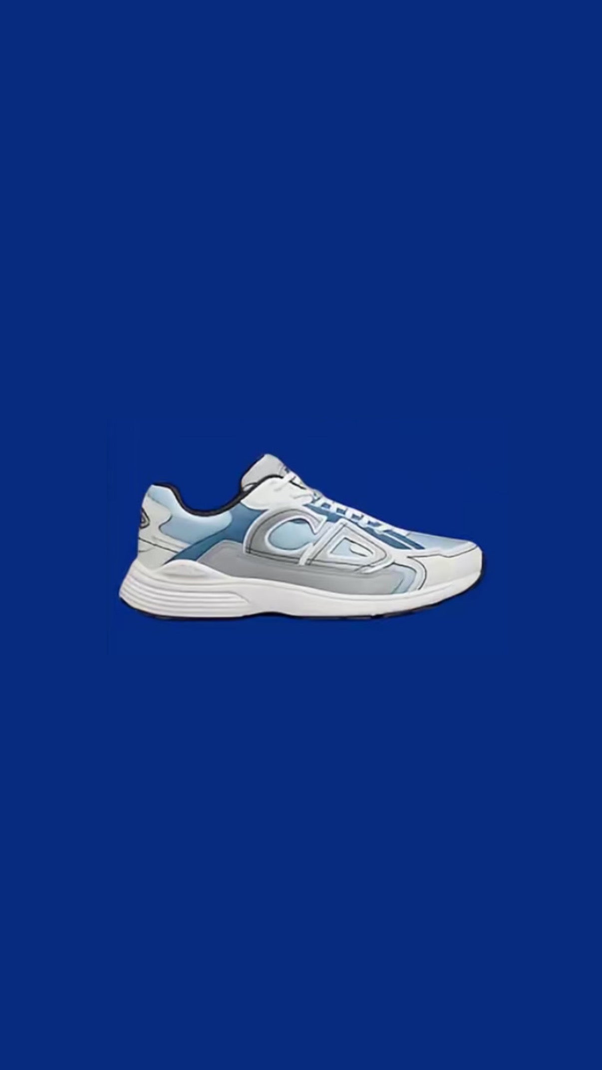 B30 DIOR Blue White